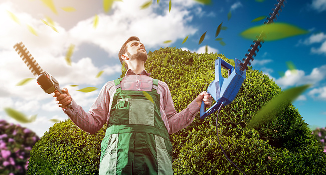 Entretien d'espaces verts