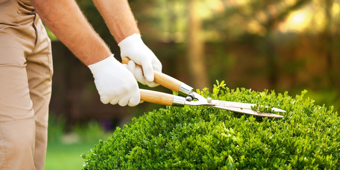 Description précise de cette photo