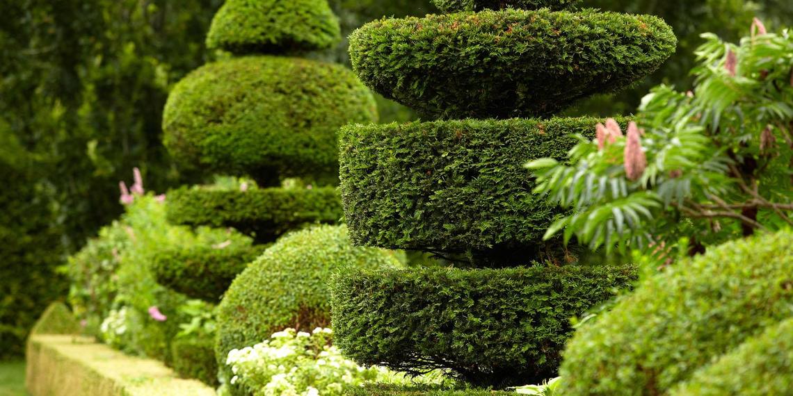 Description précise de cette photo