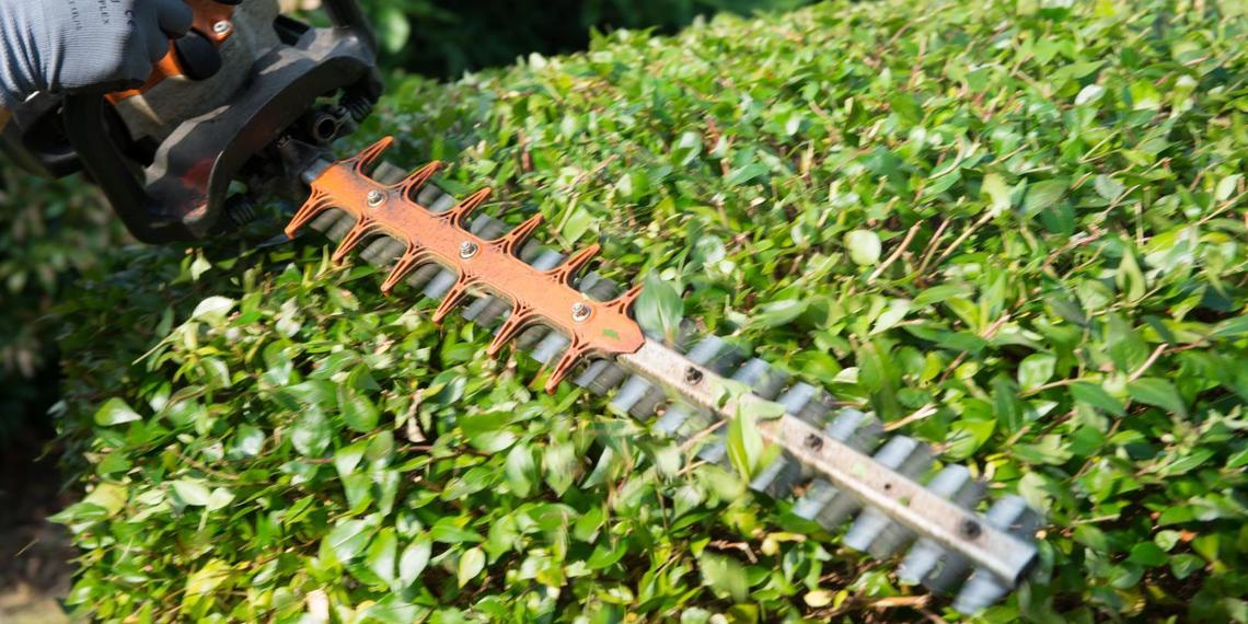 Entretien d'espaces verts