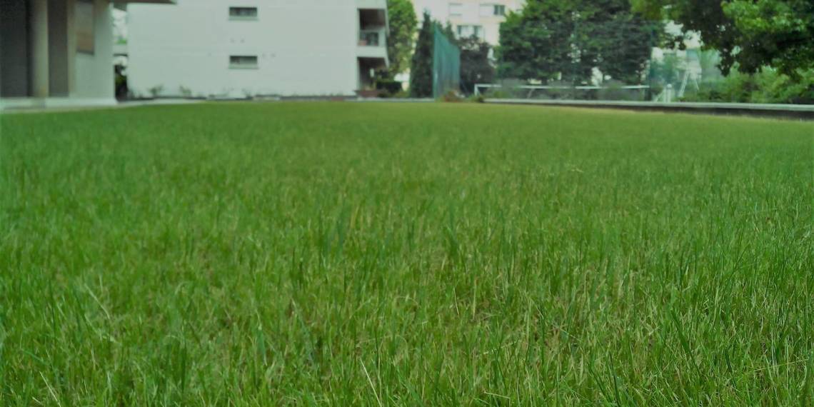 Entretien d'espaces verts